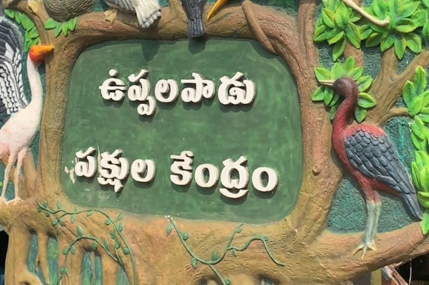 Best Bird Sanctuaries in South India|Uppalapadu Sanctuary.